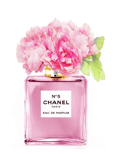 chanel 5 rosa|roses in chanel 5.